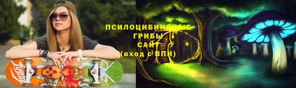 ECSTASY Абаза