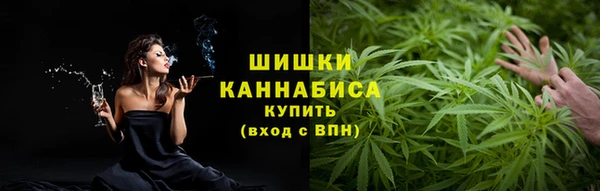 индика Приозерск