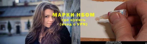 индика Приозерск