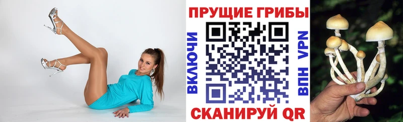 Галлюциногенные грибы мухоморы Катайск
